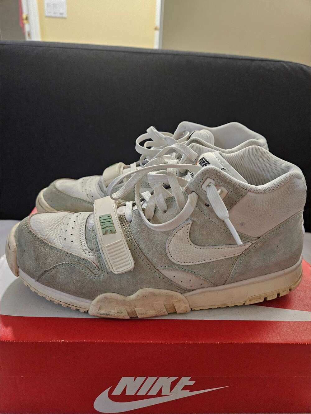 Nike Air Trainer 1